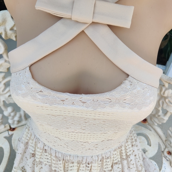 Embroidered floral lace fit and flare mini - Picture 7 of 16